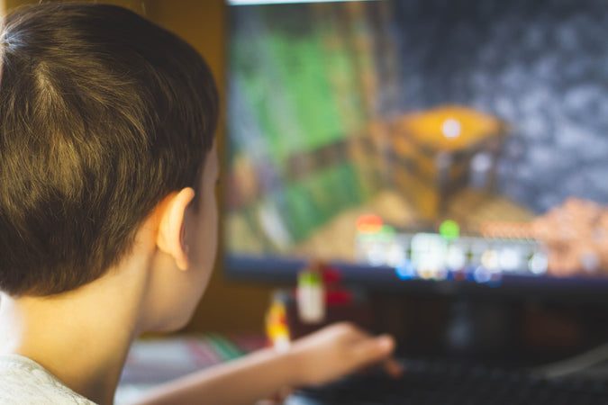 Minecraft modding course - The boy plays minecraft